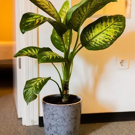 Smart By Summitvista 아파트호텔 이스탄불