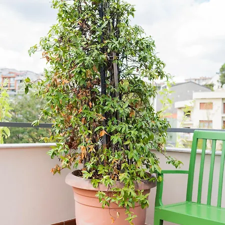 アパートホテル Smart By Summitvista